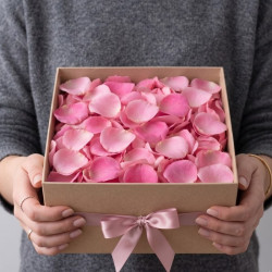 Лепестки розовых роз